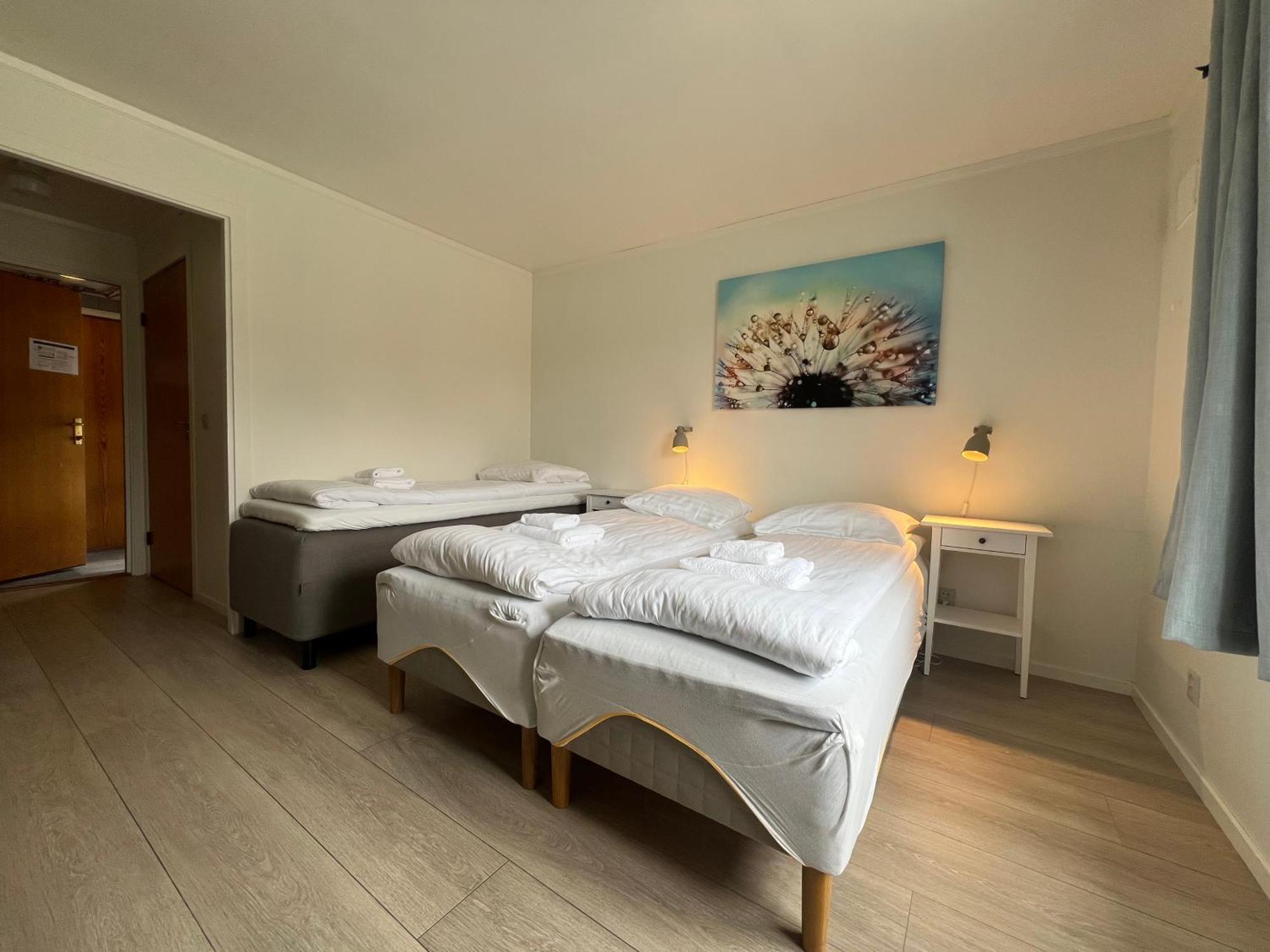 Malmplassen Bed & Breakfast Tolga Dış mekan fotoğraf